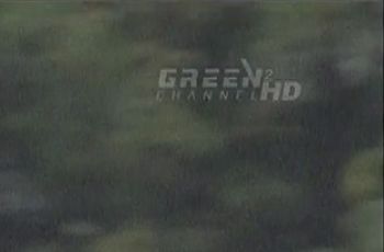 GREEN CHANNEL 2HD