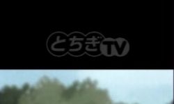 JOGY-DTV／とちぎTV とちテレ